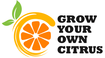 Grow Your Own Citrus